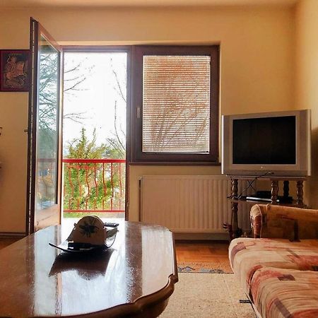 Apartman Djina Vrnjačka Banja Buitenkant foto