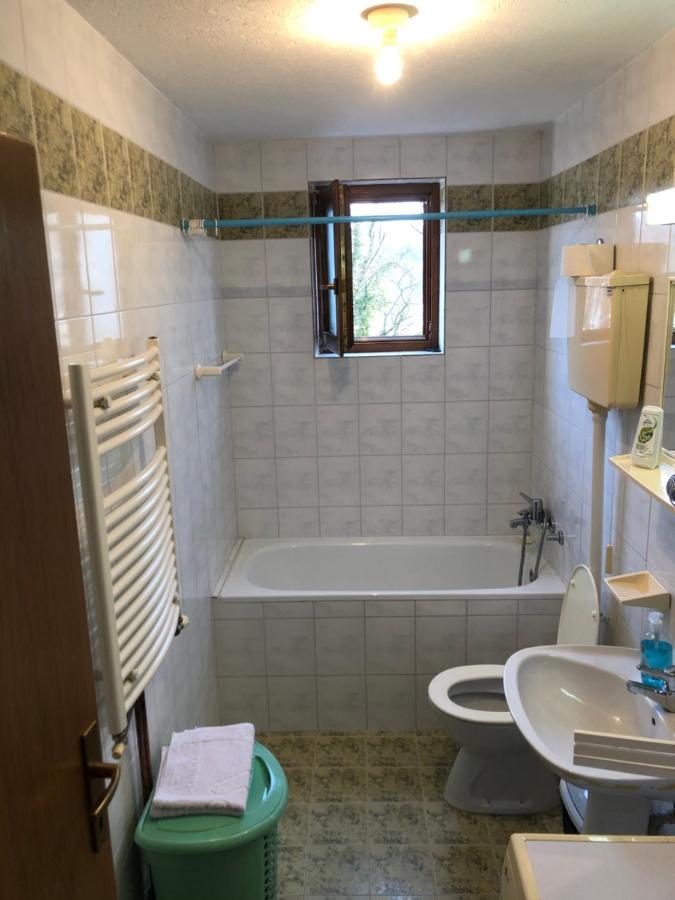 Apartman Djina Vrnjačka Banja Buitenkant foto