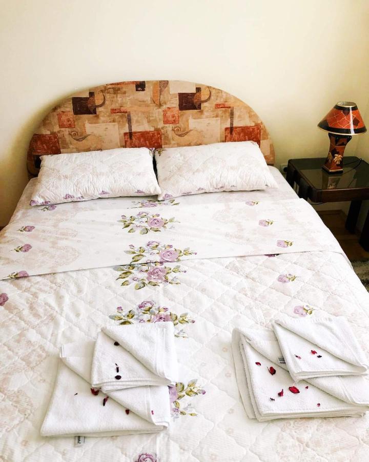 Apartman Djina Vrnjačka Banja Buitenkant foto