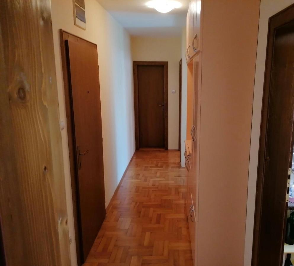 Apartman Djina Vrnjačka Banja Buitenkant foto